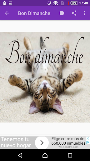 Beau Dimanche Screen 3