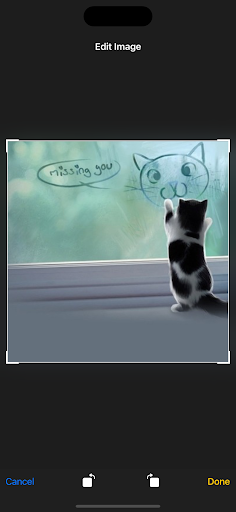 meow Screen 3