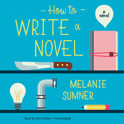 Icon image How to Write a Novel: A Novel