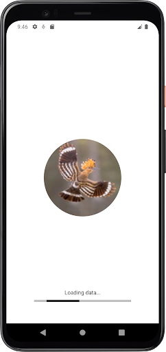 Android application Hoopoe Bird Sounds screenshort