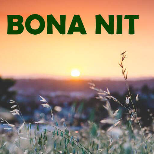 Frases de Bona Nit en Català Download on Windows