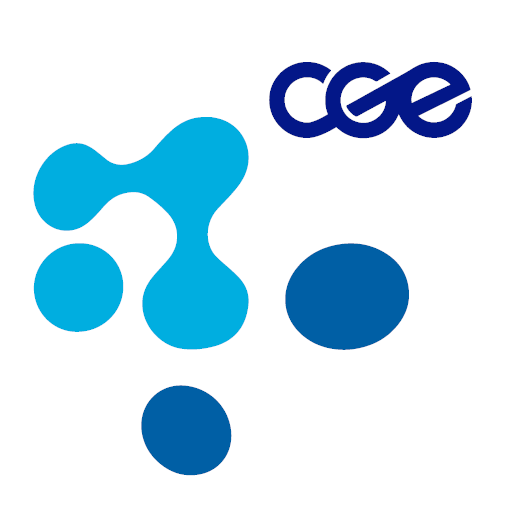 M-Risk T4 (CGE) logo