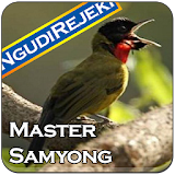 Master Kicau Samyong icon
