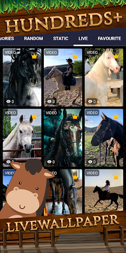 horse wallpaper Screen 3