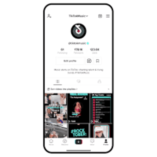 TikTok Screen 2