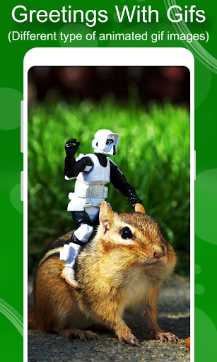 Funny Animals Gif Screen 3