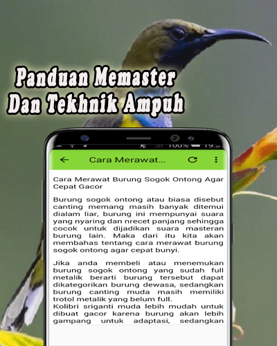 Download Pikat Burung Sogok Ontong Mp3 Offline Free For Android Pikat Burung Sogok Ontong Mp3 Offline Apk Download Steprimo Com