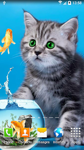 Cat Live Wallpaper - Apps on Google Play
