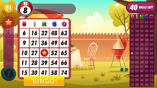 Bingo Places - Offline Classic Game