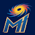 Icon image