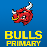 Bulls Primary icon