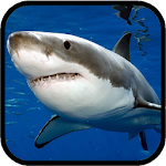 Cover Image of ダウンロード Sharks. Video Wallpaper 1.03 APK