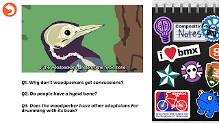 Rebound: Beating Concussions - Screenshot 1