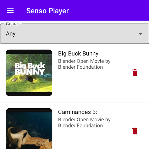 Senso Player logo