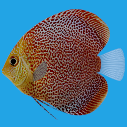 Discus Fish Aquarium LWP 1.0 Icon