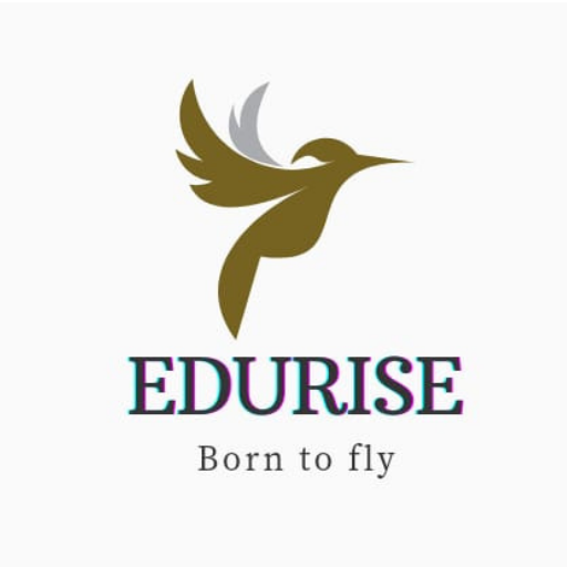 Edurise logo