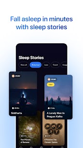 Meditopia 4