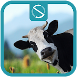 Moo icon