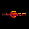 RadyoGram icon