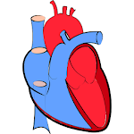 Cover Image of Download Cardiology  APK