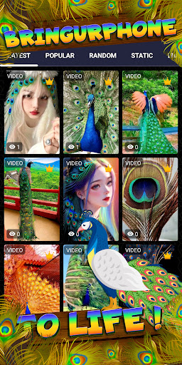peacock wallpaper Screenshot 2 - AppWisp.com