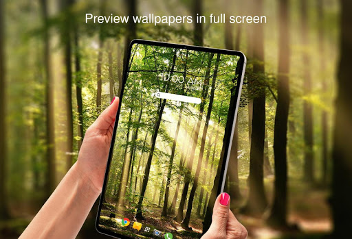 Forests offline wallpapers