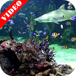 Cover Image of Download Video Wallpaper: Aquarium 2.0 APK