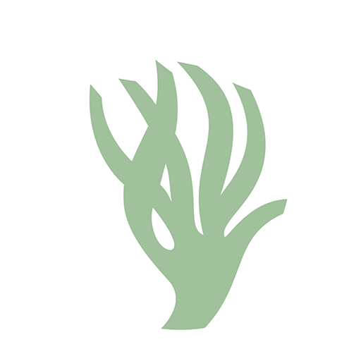 Projecte Posidònia logo