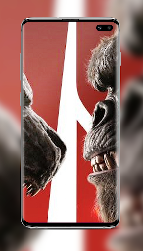 Best Godzilla vs Kong Wallpaper