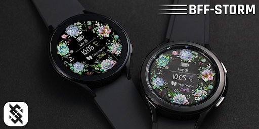 BFF71-Blackboard Art Succulent