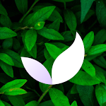 Cover Image of Download Deep Meditate: Relax & Sleep  APK