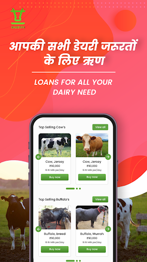 DairyFi Screen 3