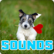 Puppy Sounds Effect - Androidアプリ