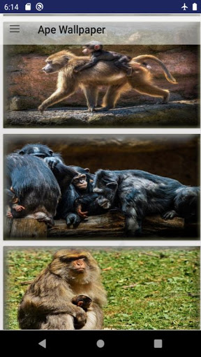 Android application Ape wallpaper screenshort