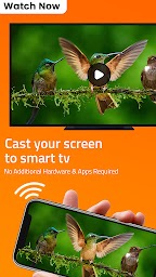 Cast to TV - Screen Mirroring