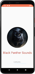 Black Panther Sounds Unknown