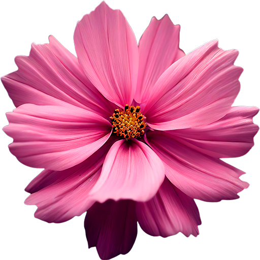 Цветочная Мастерская Lilar