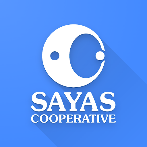 Sayas Screen 2