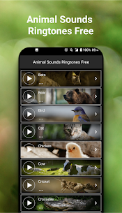 Animal Sounds Ringtones For PC installation