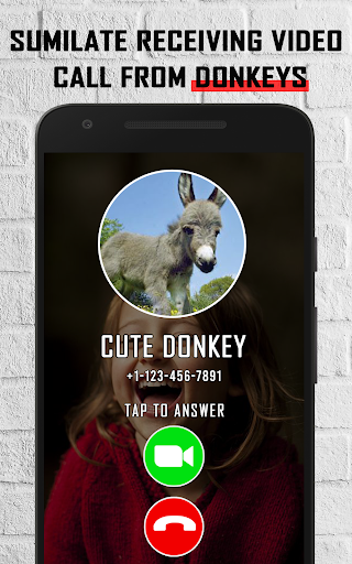 Donkey funny video call prank Screen 3