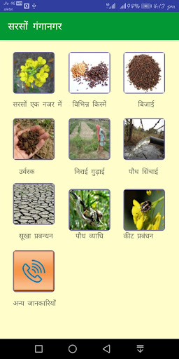 Mustard Ganganagar Screen 2