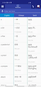 Chinese Tamil Dictionary 1
