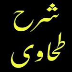 Cover Image of Herunterladen شرح طحاوی شریف (اردو)  APK