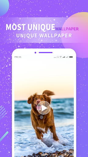 Video Live Wallpaper Screen 3