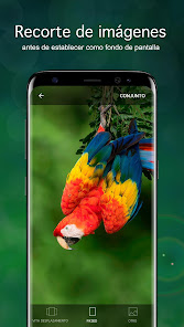Captura de Pantalla 3 Fondos de pantalla con loros android