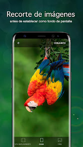Captura de Pantalla 3 Fondos de pantalla con loros android