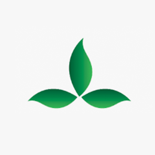 Green Smart 5.5.20 Icon
