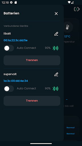 Supervolt - LiFePO4 BMS App Screen 2