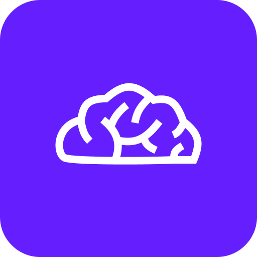 Brain Race logo