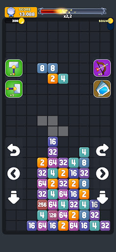 TetroNum Puzzle 2248 Edition